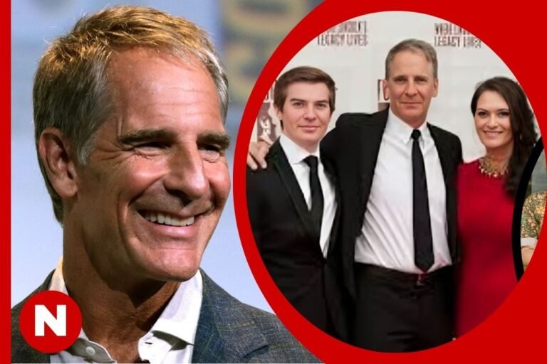 wil bakula